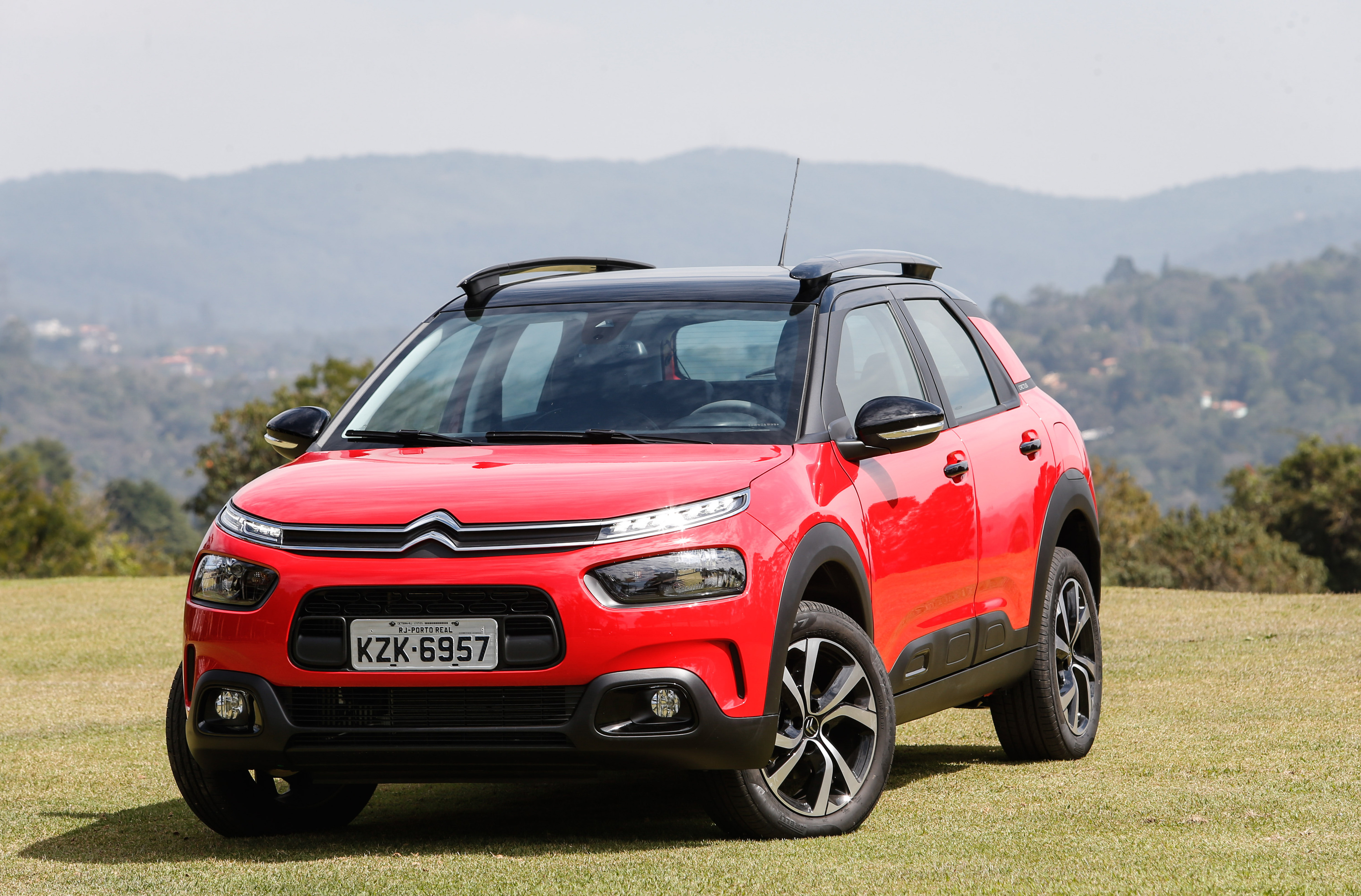 Novo C4 Cactus